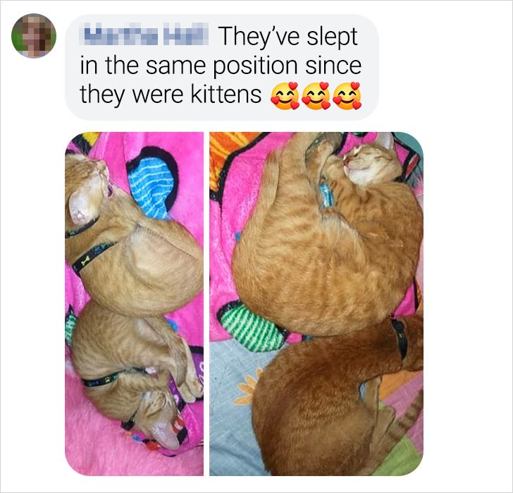 8d2f9e56f4ad31843c696182cd