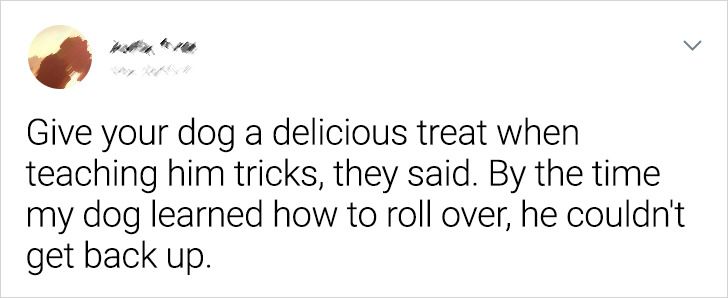 8d331c541099df000bbacc3ce5