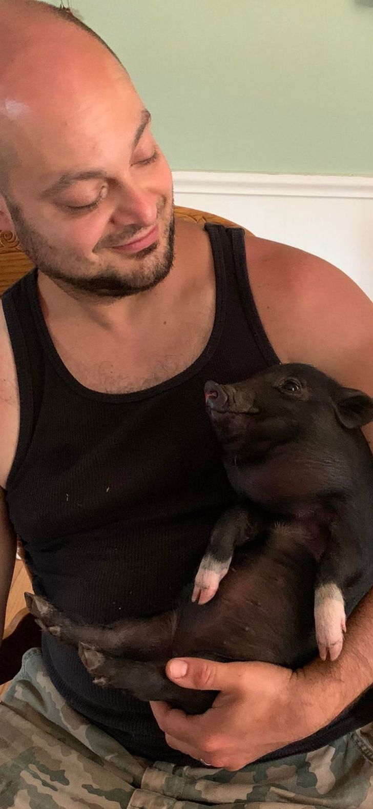 8d45105c0d947d8b77fe220117