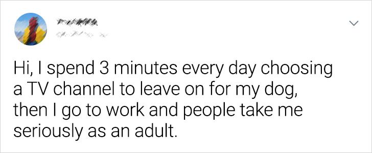 8d496d593e8d50eea1af208032