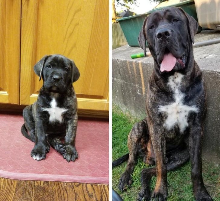 8d55385a86b58a6fe0e522bbbd