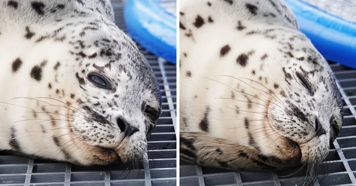 8d5db35114a53fdb62cd62a1b2