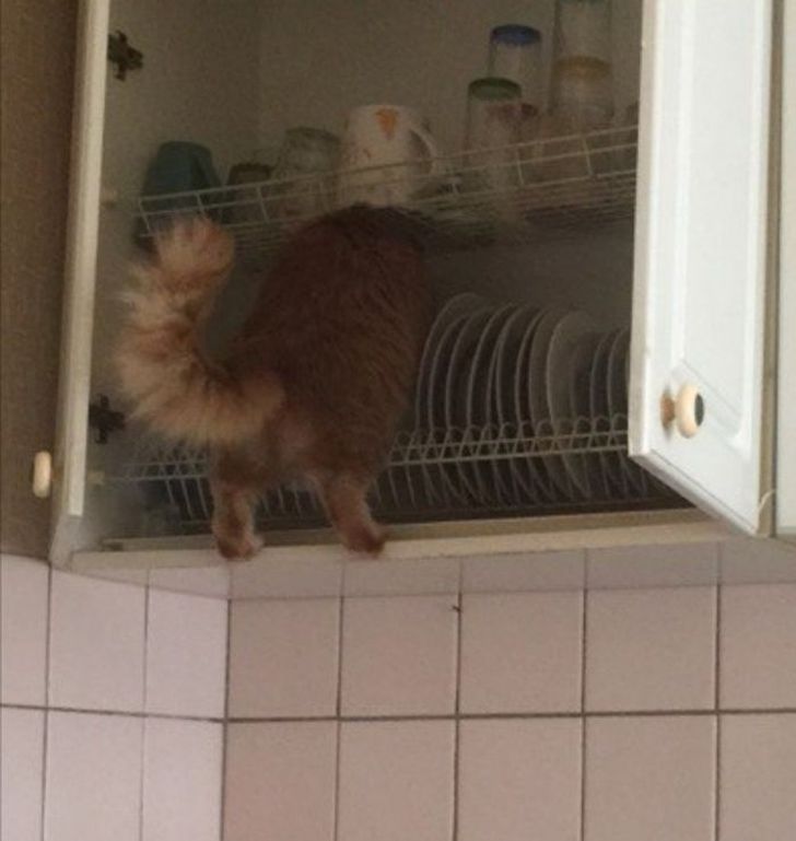 8d798550608efc34334724dd26