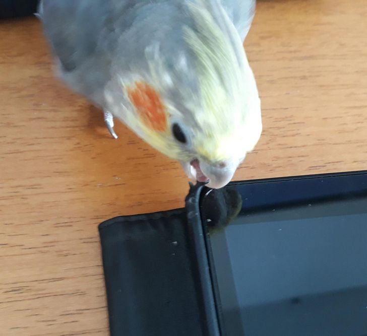 8d803a575d9c3a9e0bb6811625