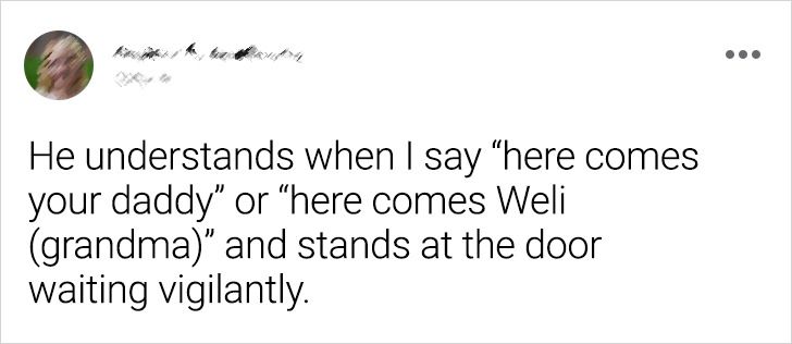 8d83fb5d7ab36ede540eae8c6f