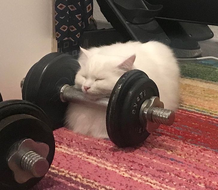 8d8ec159ce8da0f9499a69fc3d