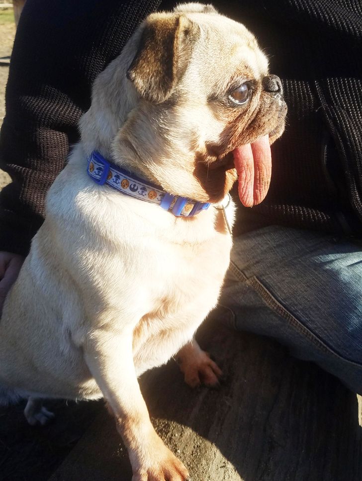 8d9b8957b797e93772bb658b3f