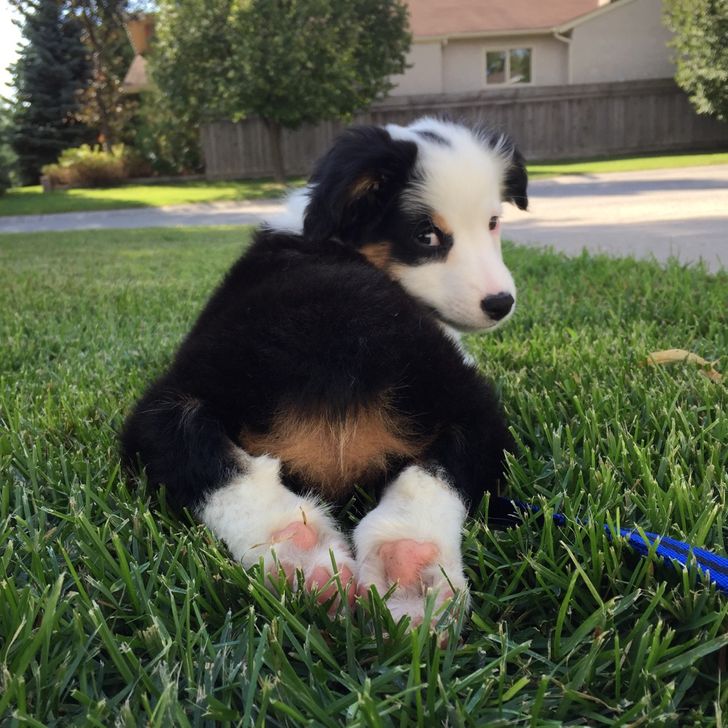 8d9bf55ab38a9f025bf2b9ea87