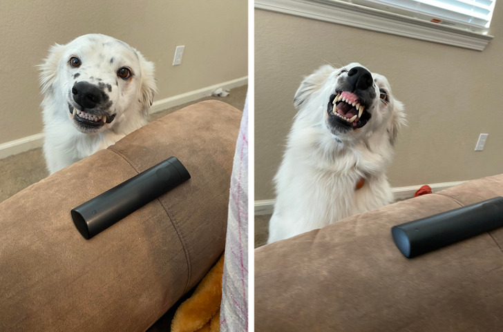 8d9e3758f2baff73d98360c17e 8d9e3758f2baff73d98360c17e