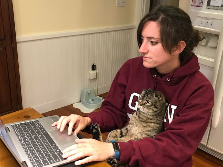 8da24150ada97b97c6b85c5009