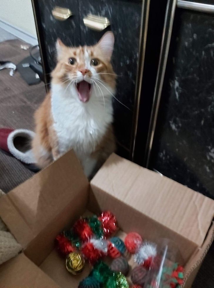 8da57655be81809b93dcec773c