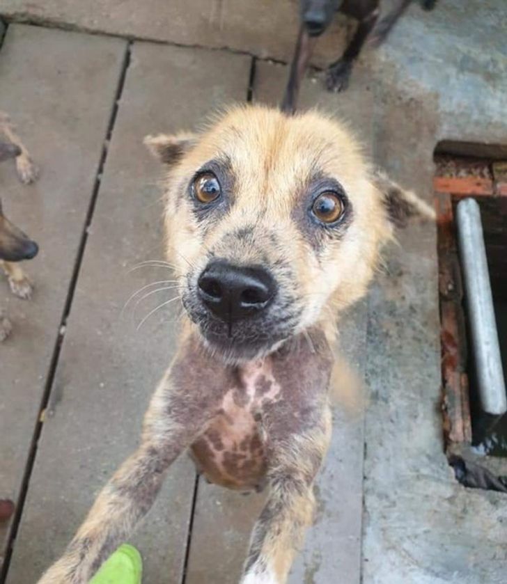 8da6b65442ba7475ac04f5a388