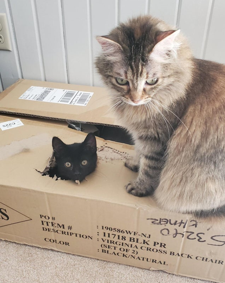 8da7485bc4a866ec0ccad59e4a