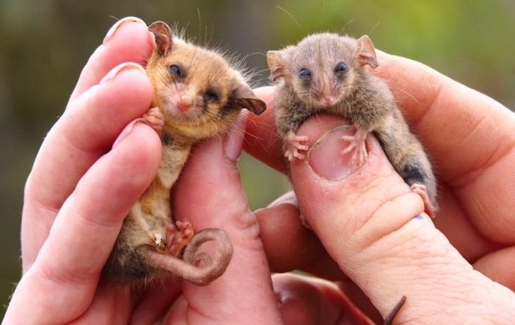 8da7c3575880005eeded84e4c8