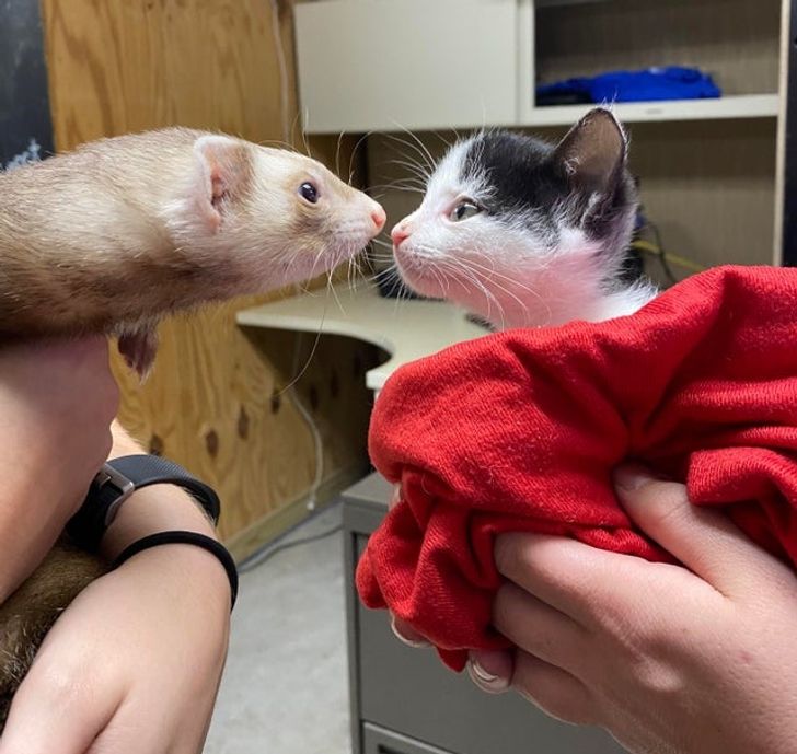 8daade522299d7103b2f402bf0