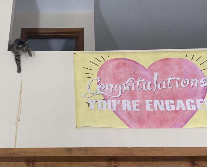 8dacfa51308f3071d7027ae126