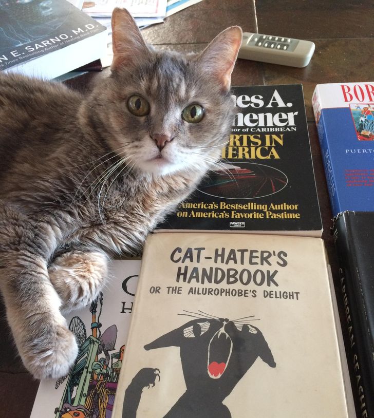 8daf0f57f49111eff7c57c9342