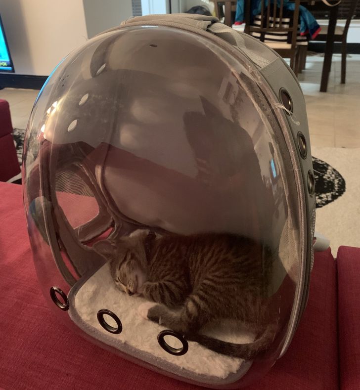 8db1a251d792477c39ad3704ef 8db1a251d792477c39ad3704ef