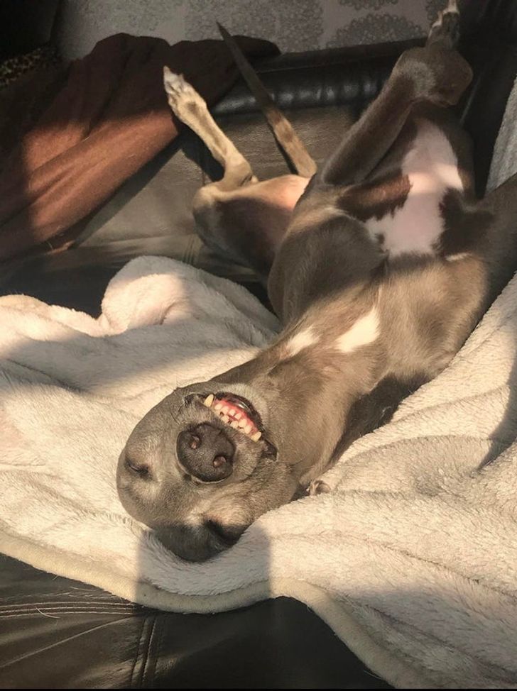 8dba1a546284b2ebd2ed60f831