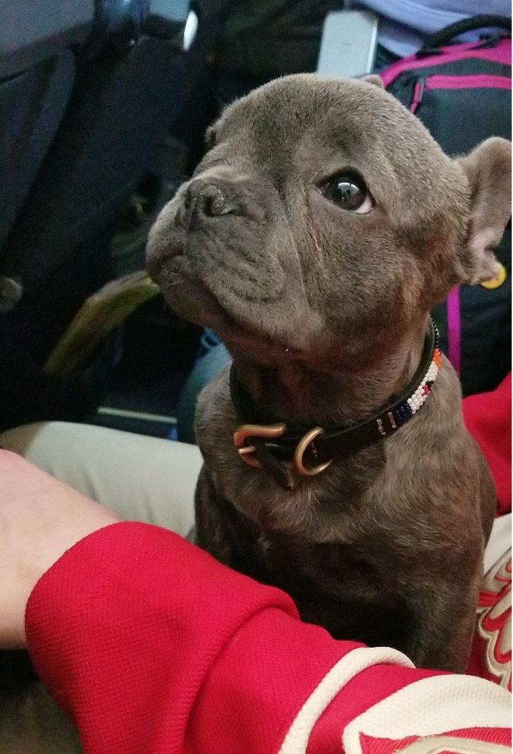 8dbaae54d9af5532e1ff880b7d