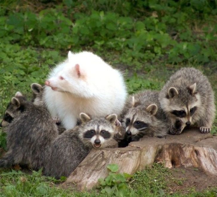 8dc3c65370afedc6e5b7ea32ca