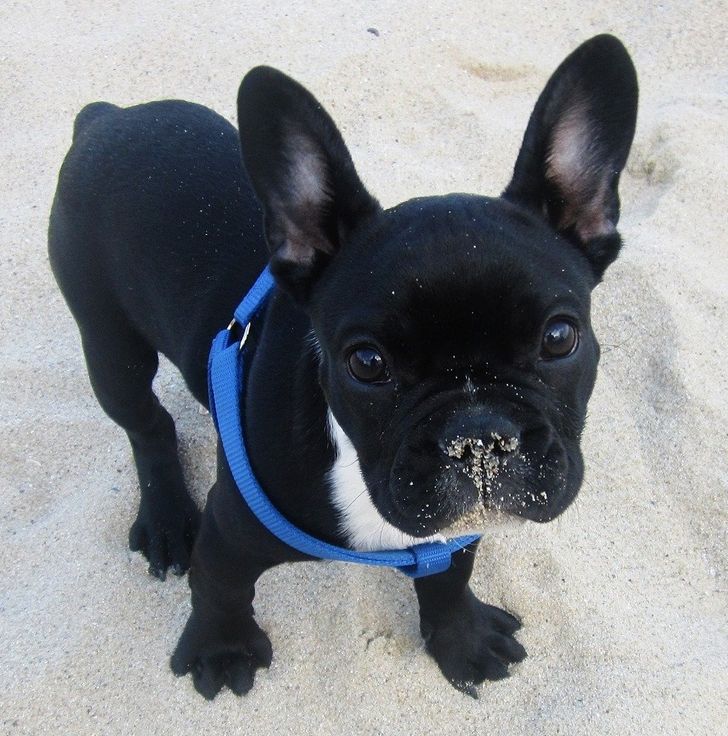 8dc87d55e0bcacc6021a6b7bfe