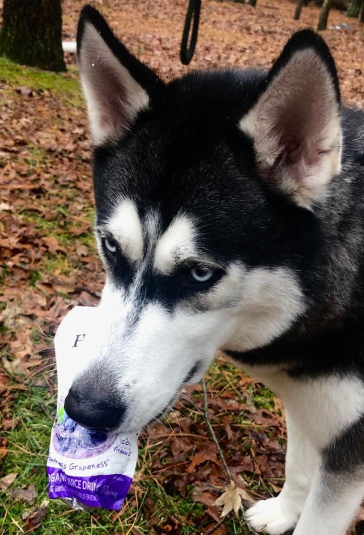 8dcc645408a76cd72a05236f77