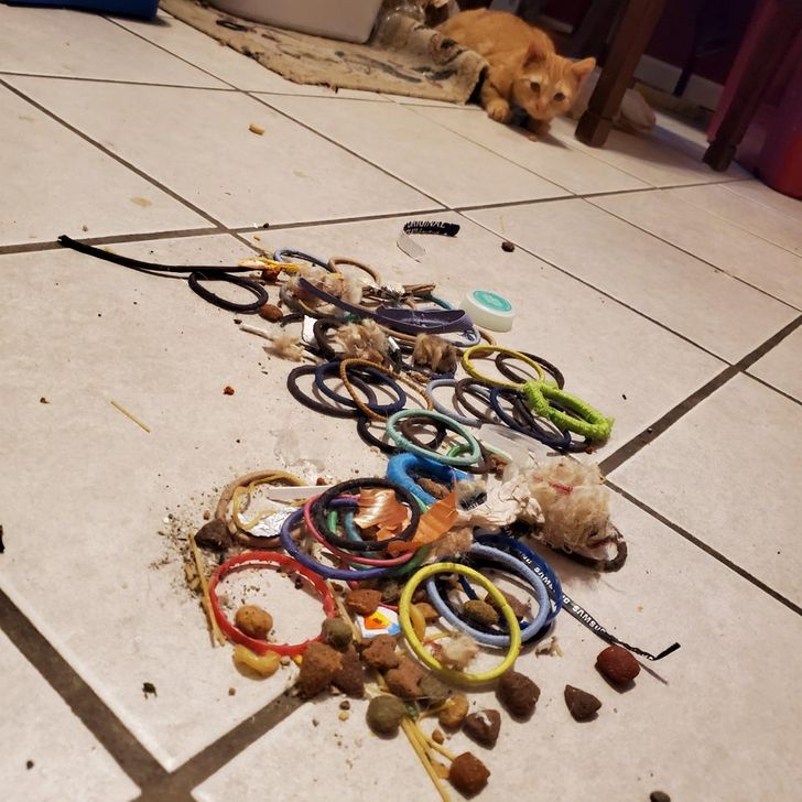 8dceb253baa68d1131835381dd