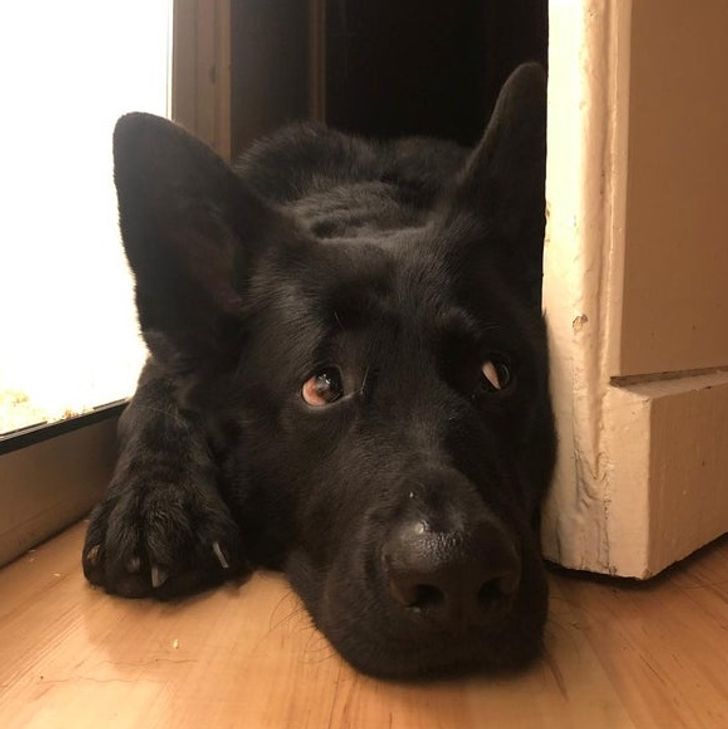 8dd0375551a1c9147575ae2fa2