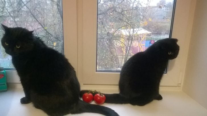 8dd7055c99bda1230368055bc0 8dd7055c99bda1230368055bc0