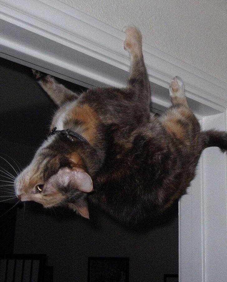 8dda2e5ead8cdcd9b1e7d67b14 8dda2e5ead8cdcd9b1e7d67b14