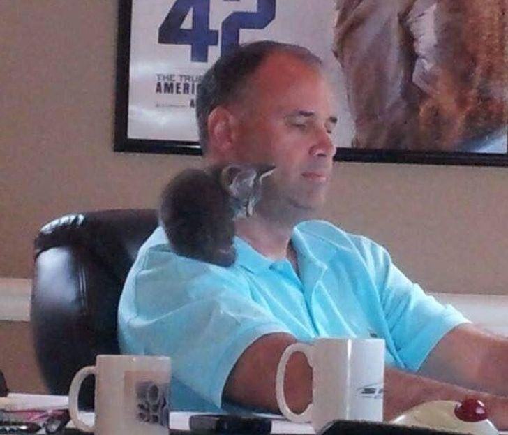 8ddbfb5eb3958aebdfad131e1f