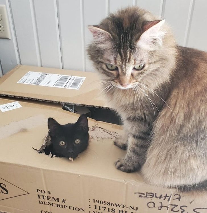 8de925543996aaae0c77c48f83