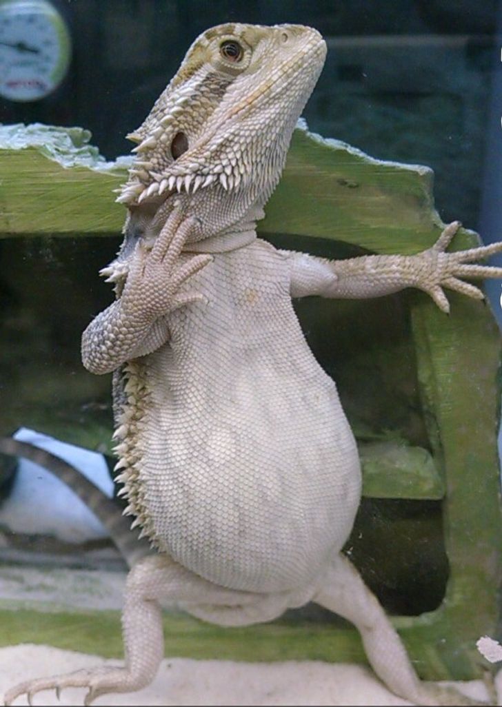 8df6ea5e7c84bd8e02ff6b0550