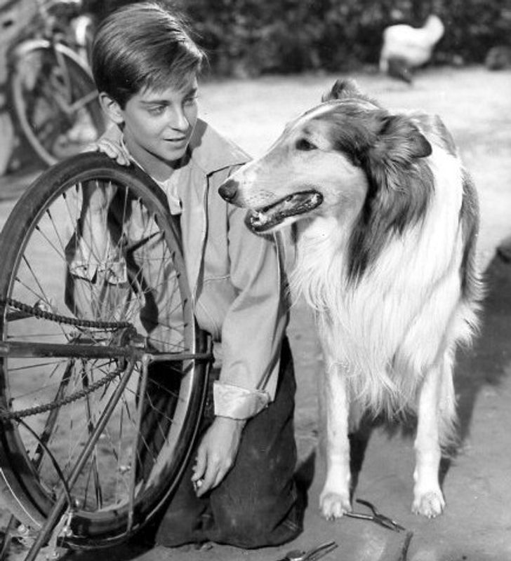 8dfa6658d298ebb4417e87d3a3