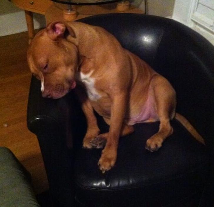 8e12ad5bf0a26eec9d6171aa58