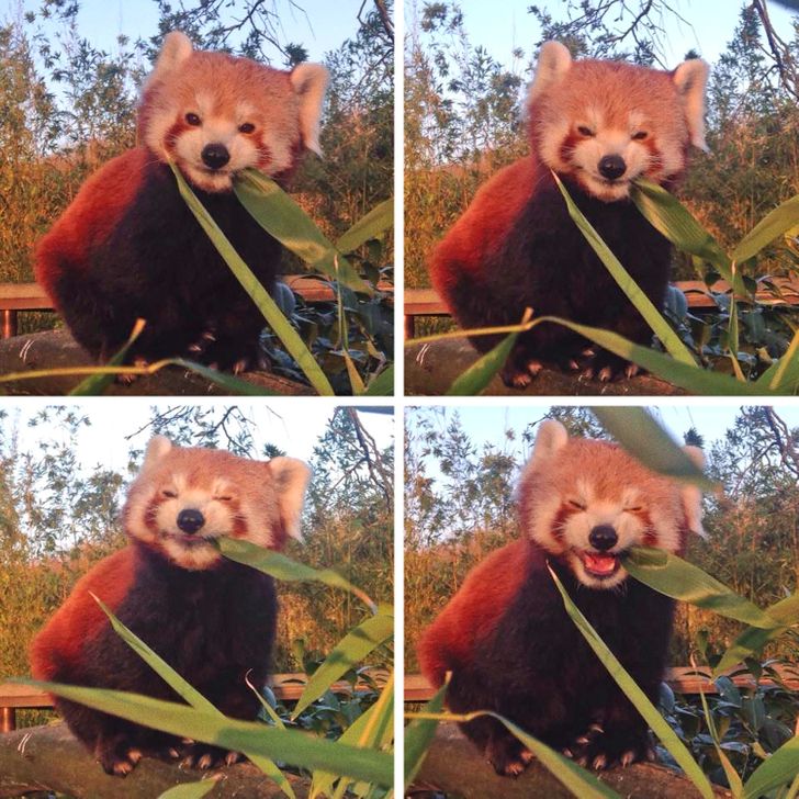 8e12ff58329ea35386270bc580