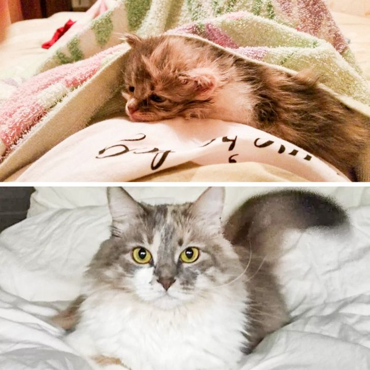 8e15df5028bfc3512f7ba956ff