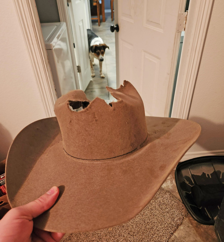 8e193752b7aa8773190e133af6