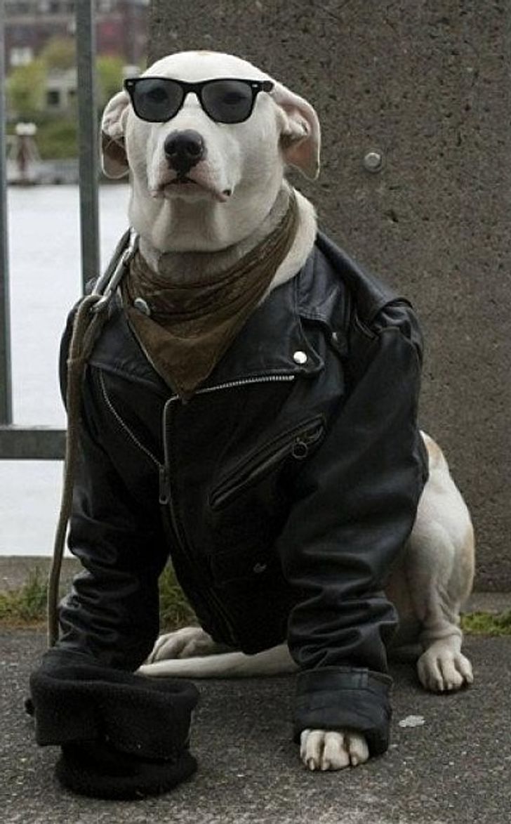 8e1c545ec6804e0629fa44013f