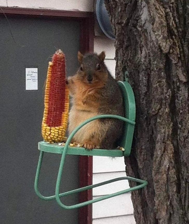 8e1e0a568194de5ff7697fe101