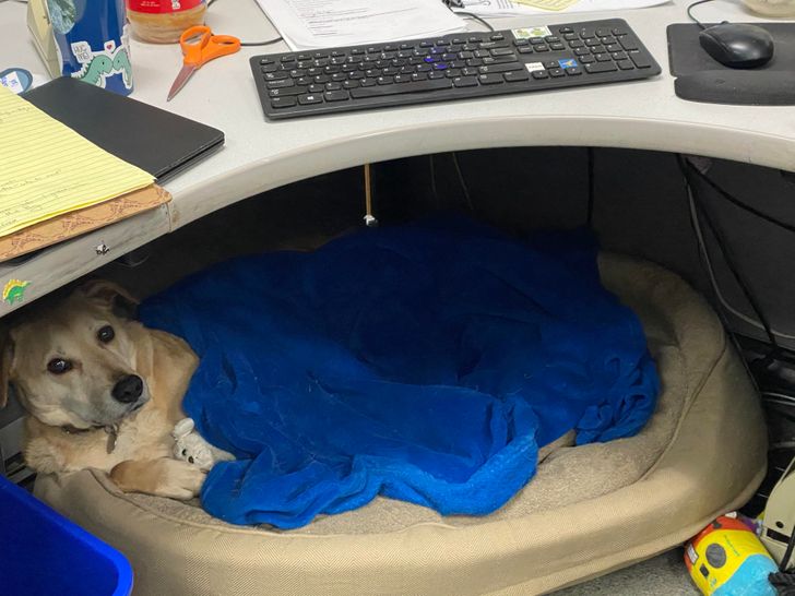 8e1f845edb9942f72bda51272a