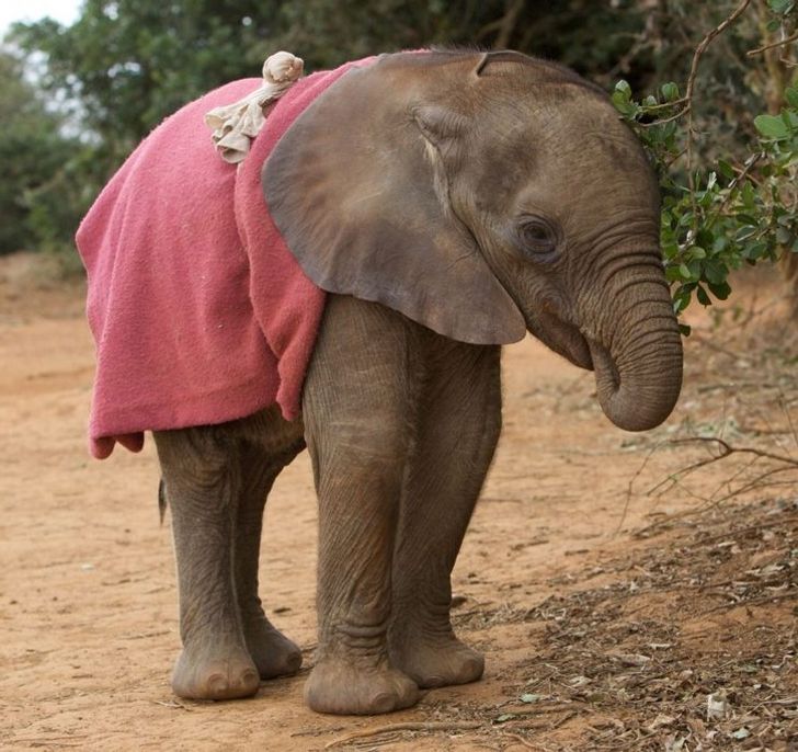 8e256d5176bd0f06d6331426d4