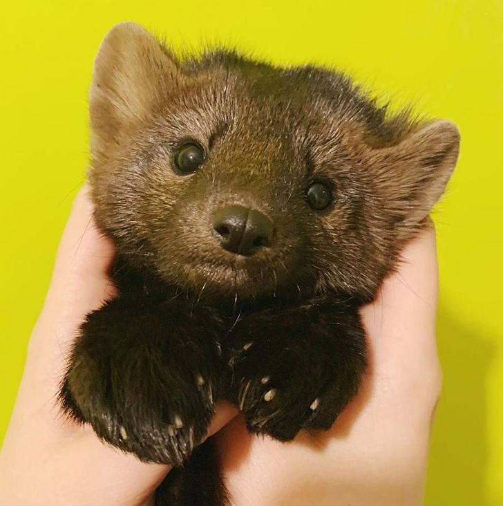 8e288d55999cb43e41b7f21a6f