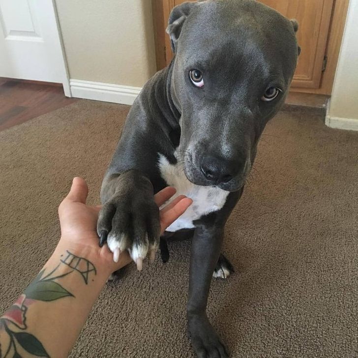 8e288e57498cd3324483afe60b