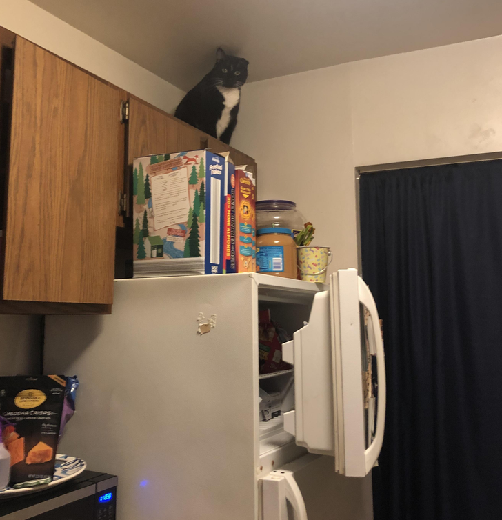 8e28cf5fd4ad9ea2eec69319c0