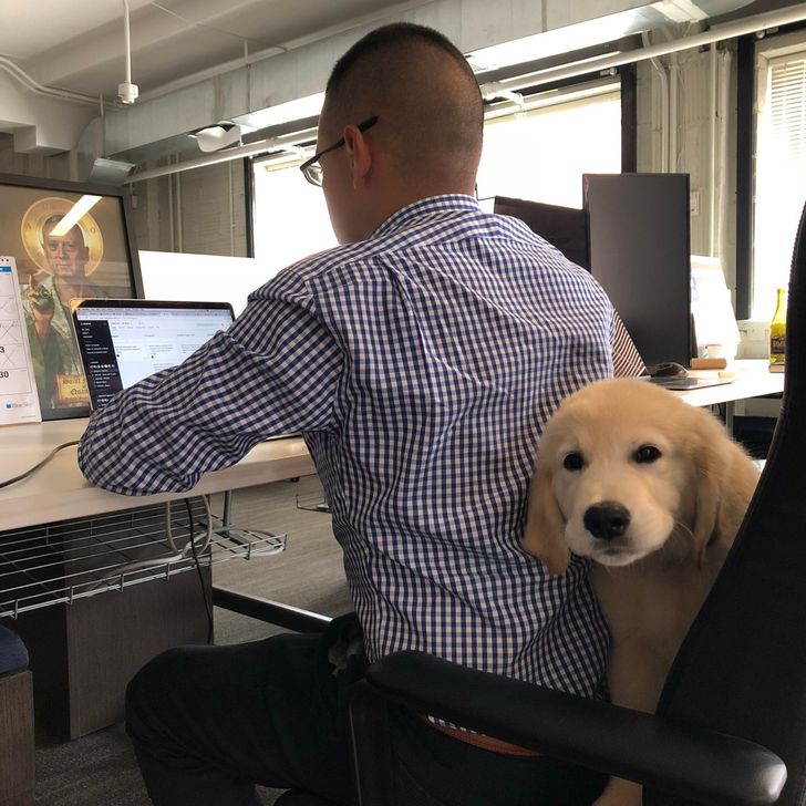 8e312551139eec9fa6014ca342