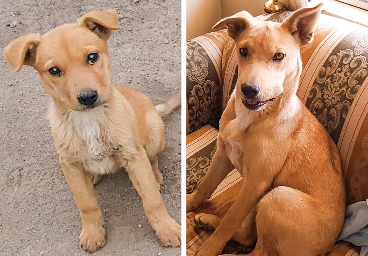 8e31565fb9b43ac54612039ef0