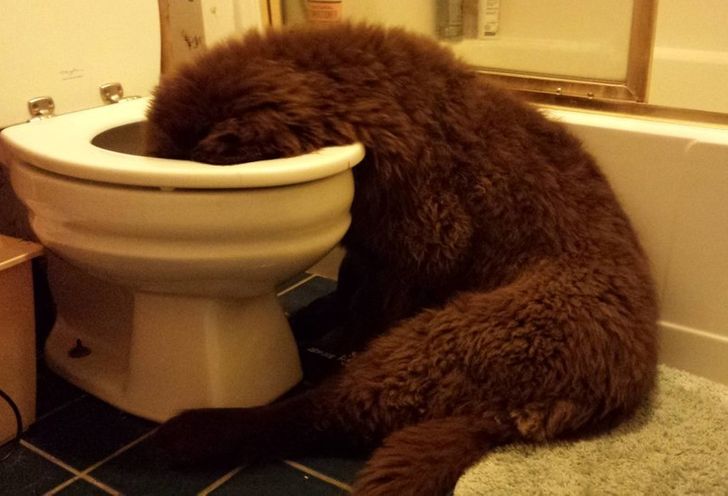 8e34225f968d0a5444657eab59