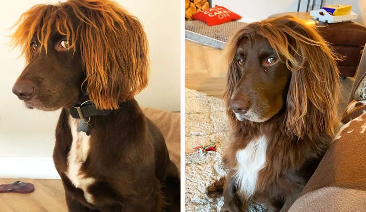 8e40565bb2be79cd1c1333d8f6